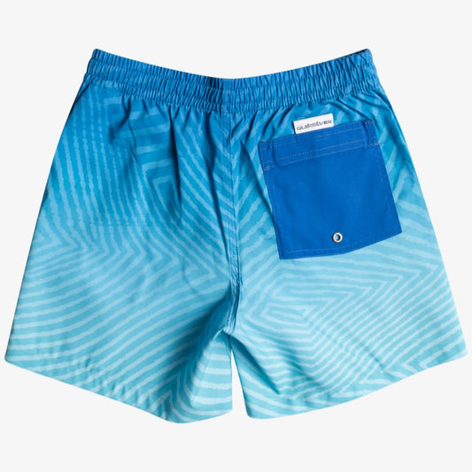 Quiksilver Warped Logo 14" Shorts Junior (Snorkel Blue BRT6)