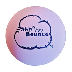 Skybounce One Wall Ball