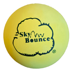 Skybounce One Wall Ball