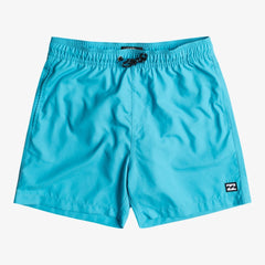 Billabong All Day Laybacks 16'' Board Shorts Men's