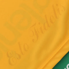 O'Neills Offaly GAA Home Jersey 2024