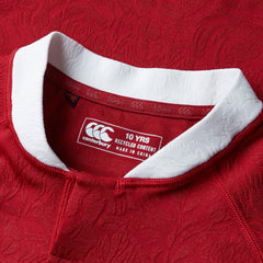 Canterbury Lions Replica Rugby Jersey Kid's