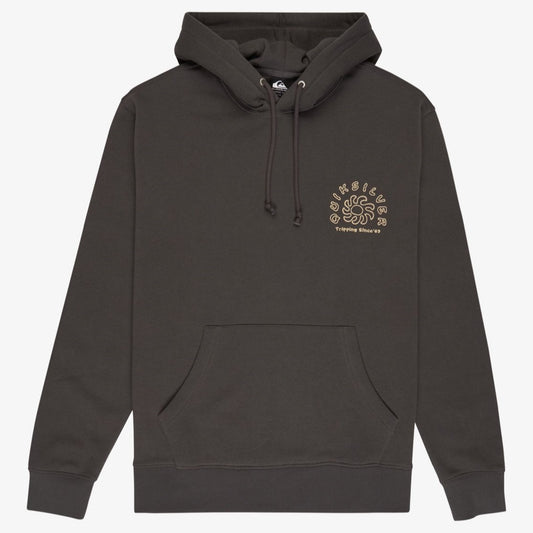 Quiksilver Salt Water Graphic Hoodie Men's (Iron Gate KZM0)