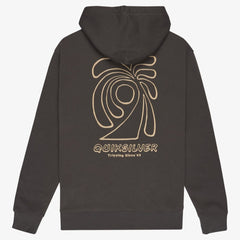 Quiksilver Salt Water Graphic Hoodie Men's (Iron Gate KZM0)