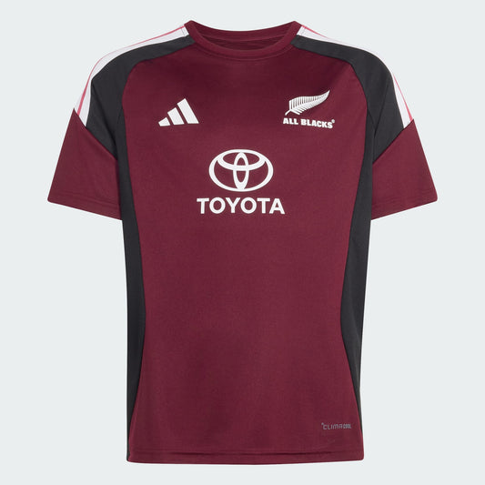 Adidas All Blacks Performance T-Shirt Kid's (Purple KF1566)
