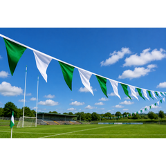 Limerick 10 Metre Bunting