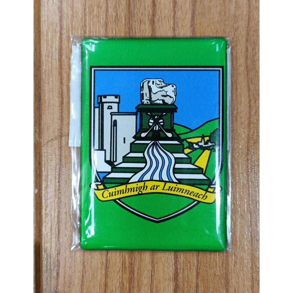 Limerick GAA Fridge Gleeson Sport Scene