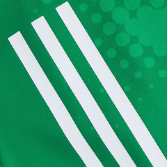 O'Neills Limerick GAA Home Jersey 2023 Women's Fit (Green White)
