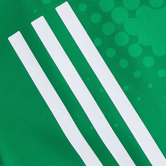 O'Neills Limerick GAA Home Jersey 2023 Infants (Green White)