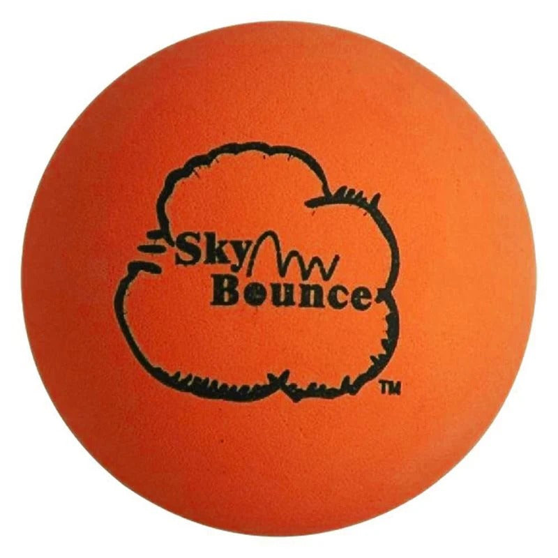 Skybounce One Wall Ball